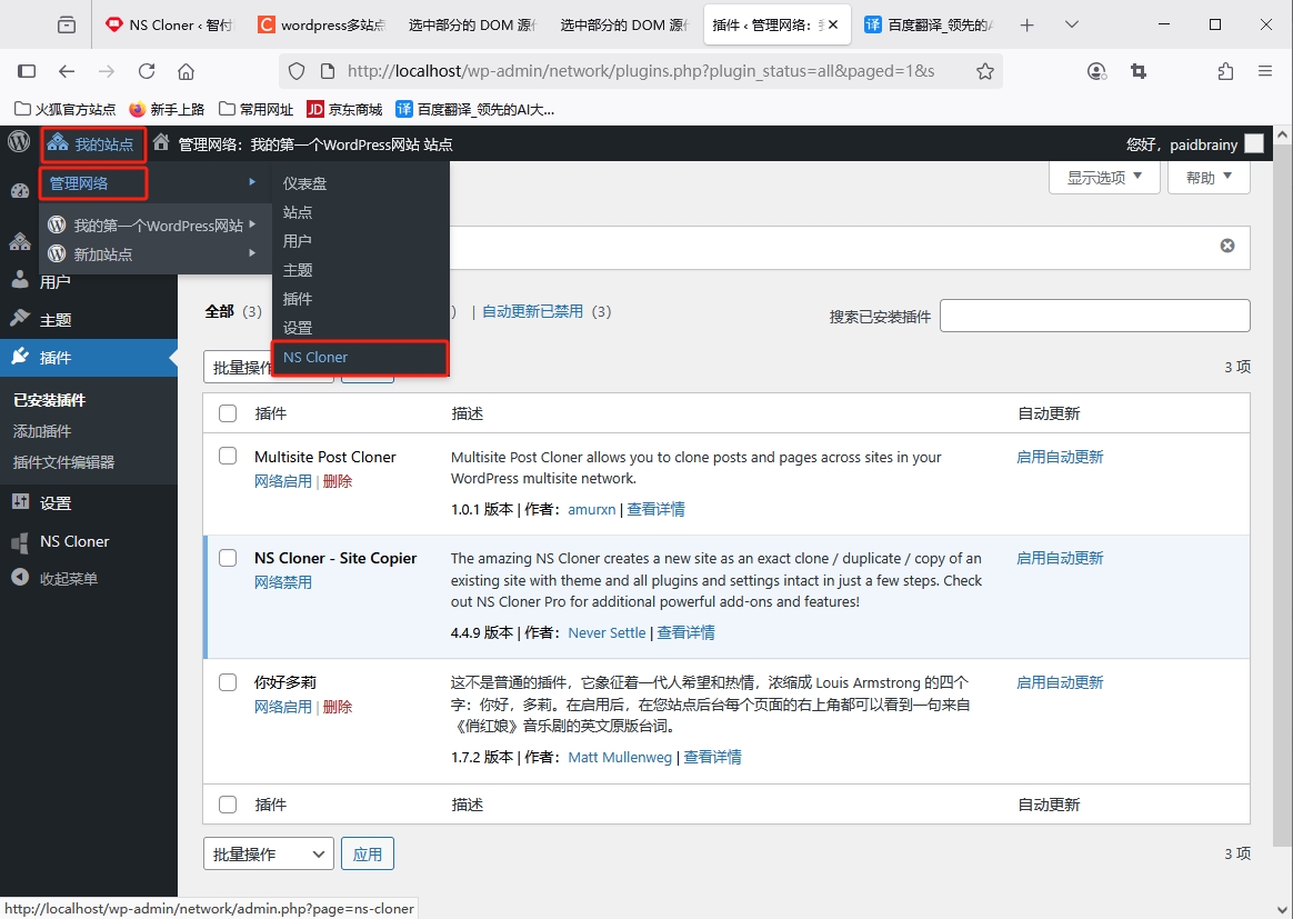 进入WordPress插件NS Cloner - Site Copier使用界面